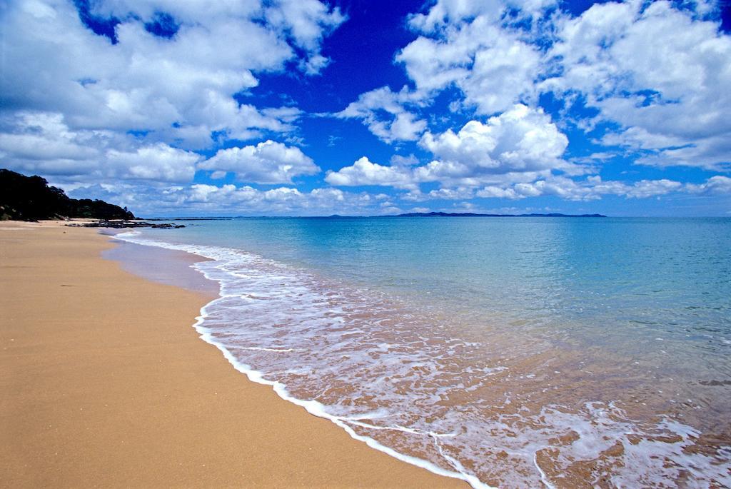 Driftwood Lodge Beachfront, Cable Bay, Northland 库珀海滩 外观 照片